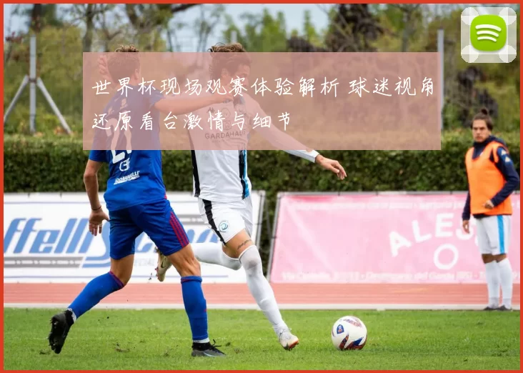 世界杯现场观赛体验解析 球迷视角还原看台激情与细节
