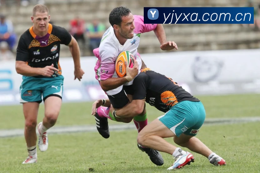 全红婵女子十米台夺金实现奥运卫冕创历史